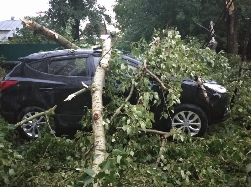 Гроза и ветер повредили 90 деревьев и 19 автомобилей