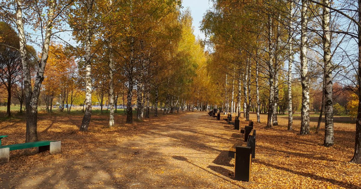 Осень Во Владимире Фото