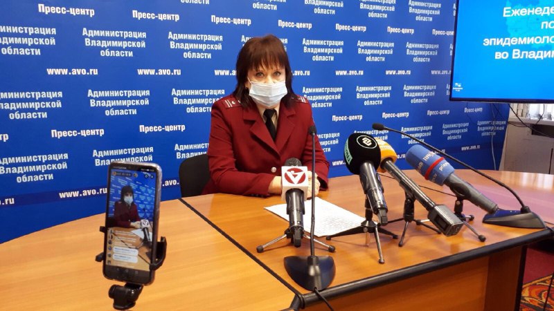 Марина Колтунова на брифинге в администрации Владимирской области